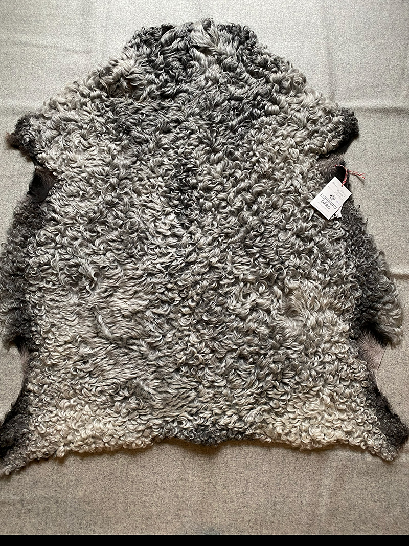 Skinn från gotlandsfår nr 00109