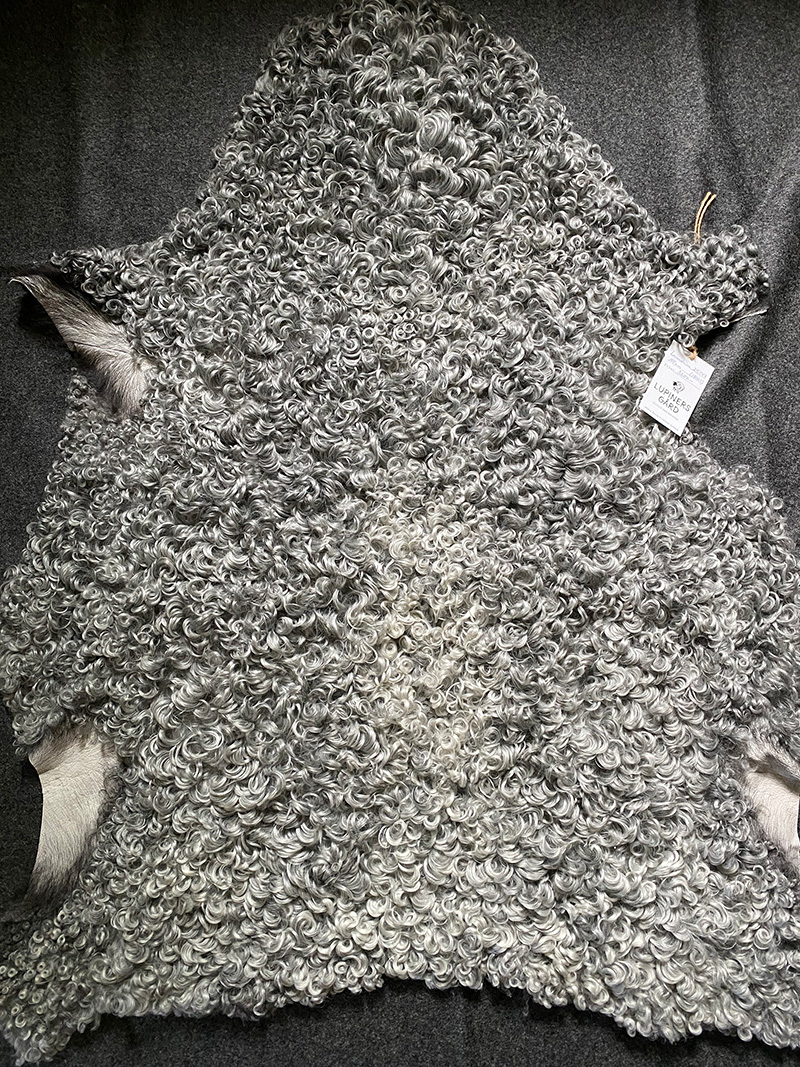 Lockigt lammskinn från gotlandsfår – silvergrått med fluffiga lockar – nr 25147